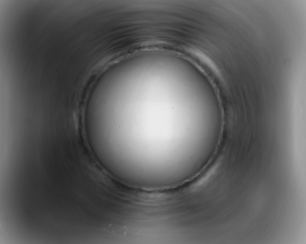 X0000089890921200707192011