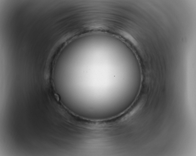 X0000089890922200707192011