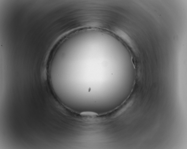 X0000089890924200707192011