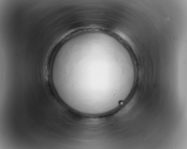 X0000089890925200707192011