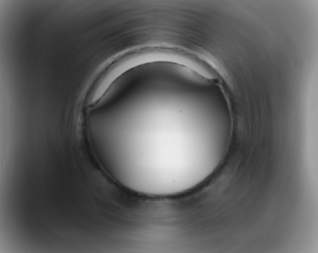 X0000089890926200707192012