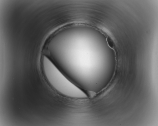 X0000089890928200707192012