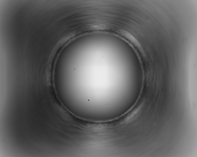 X0000089890930200707192012