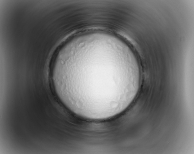 X0000089890933200707192012