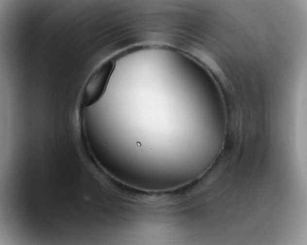 X0000089890936200707192012