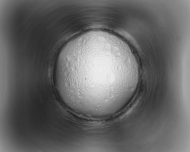 X0000089890937200707192012