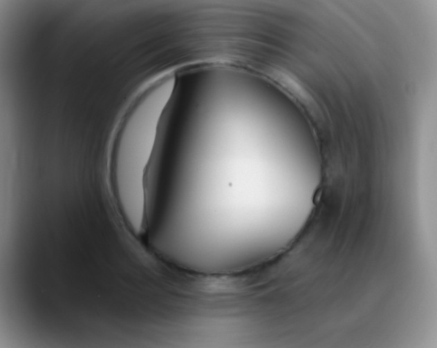 X0000089890940200707192012