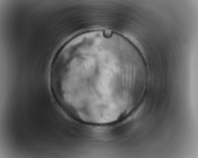 X0000089890941200707192012