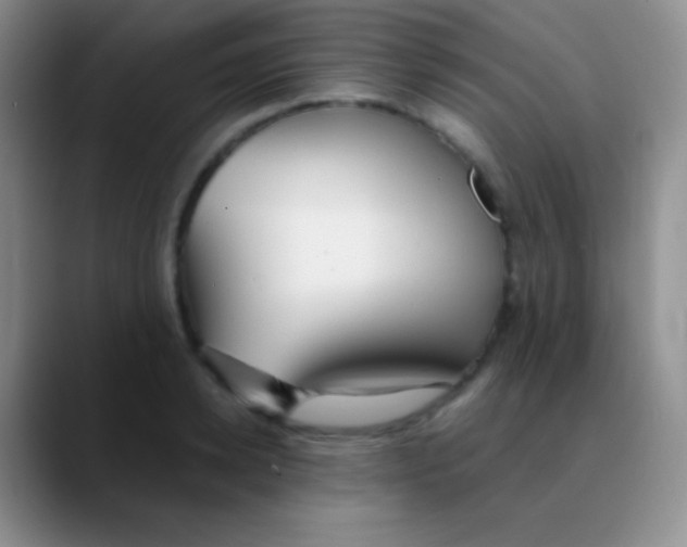 X0000089890942200707192012