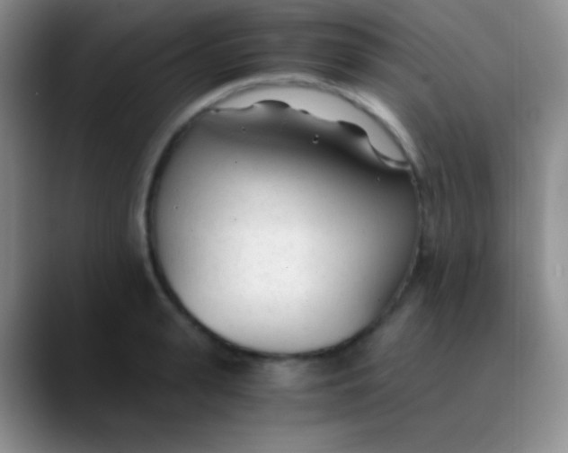 X0000089890943200707192012