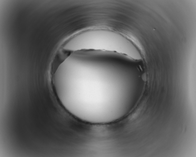 X0000089890944200707192012