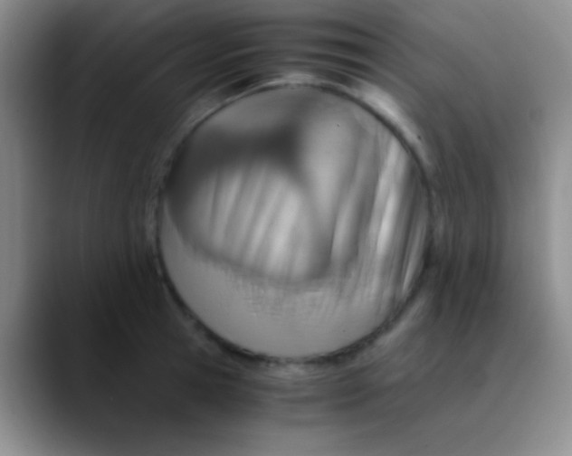 X0000089890945200707192012