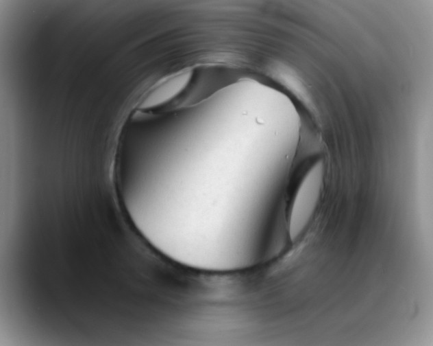 X0000089890946200707192012