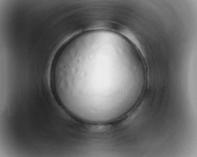 X0000089890949200707192012