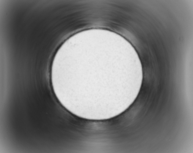 X0000089890950200707192012