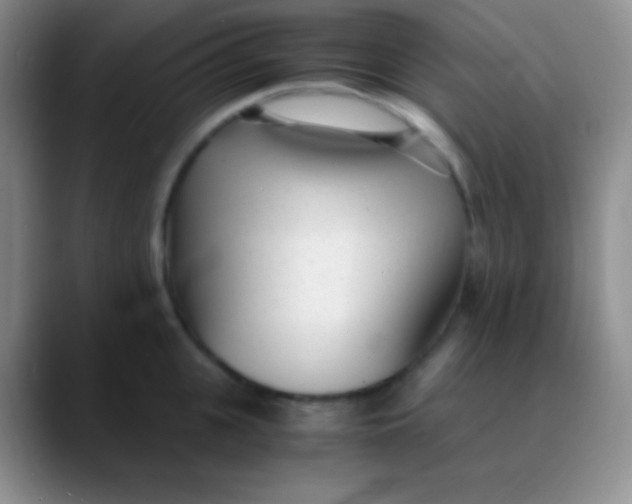 X0000089890951200707192012