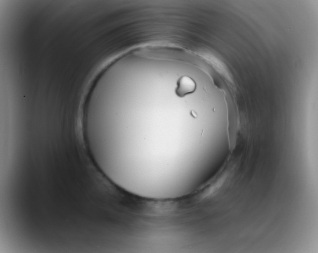 X0000089890952200707192012