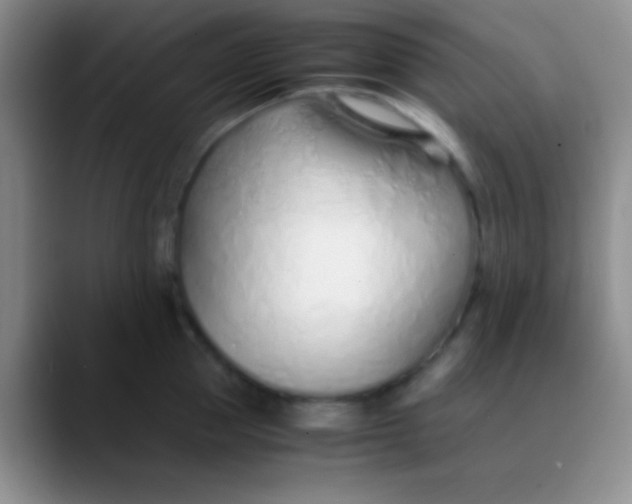 X0000089890953200707192012