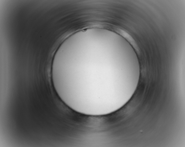 X0000089890954200707192012