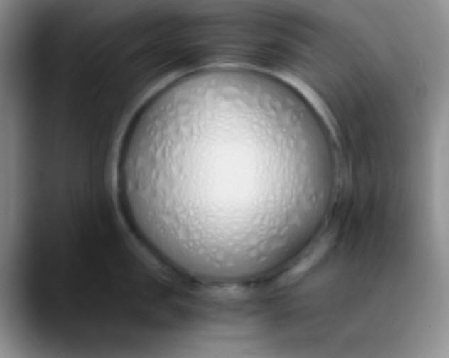 X0000089890957200707192012