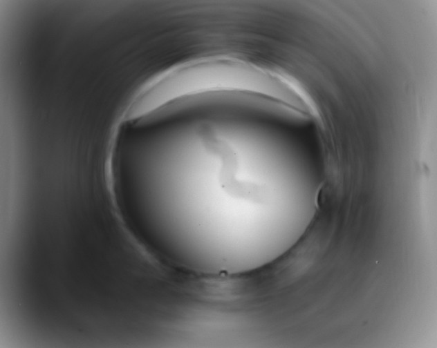 X0000089890959200707192012