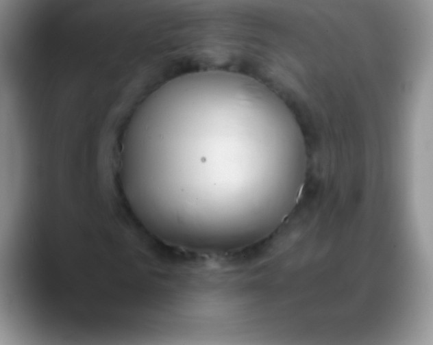 X0000089890961200707192011