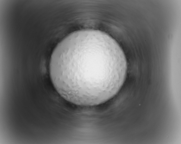 X0000089890962200707192011