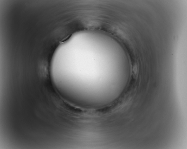 X0000089890963200707192011