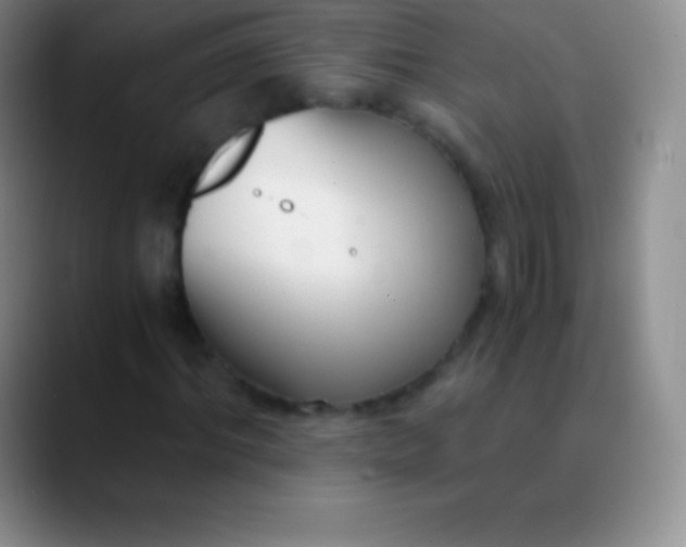 X0000089890964200707192011