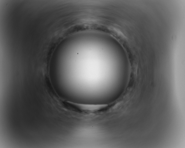 X0000089890965200707192011