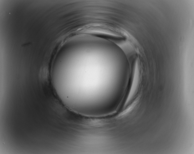 X0000089890969200707192011