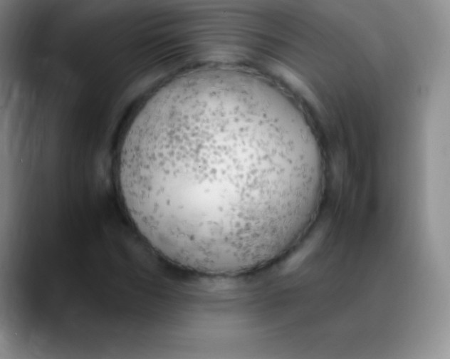 X0000089890970200707192011