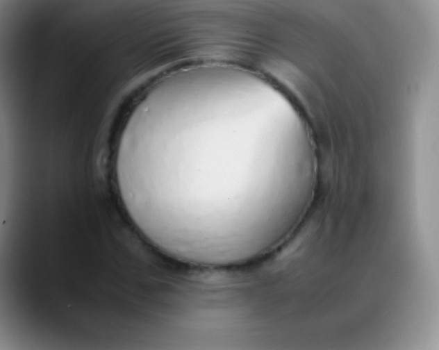 X0000089890971200707192011