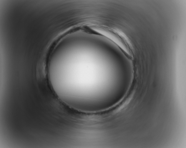 X0000089890973200707192011