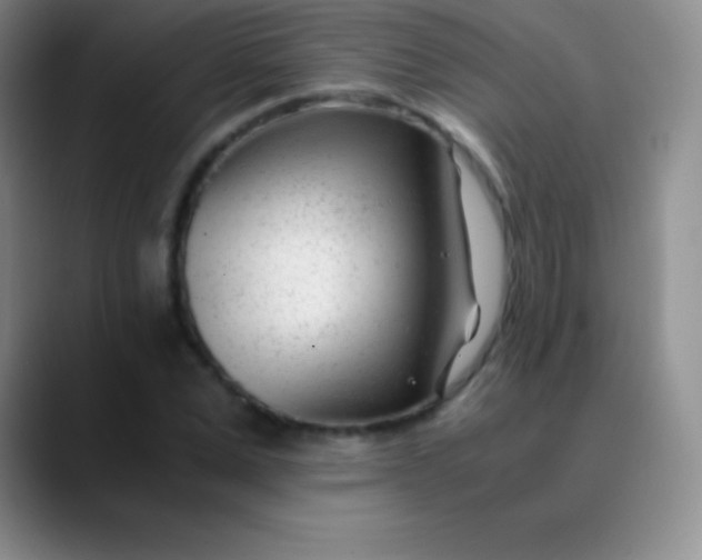 X0000089890975200707192011