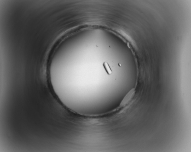 X0000089890976200707192011