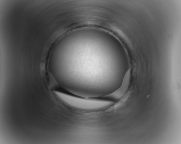 X0000089890977200707192011