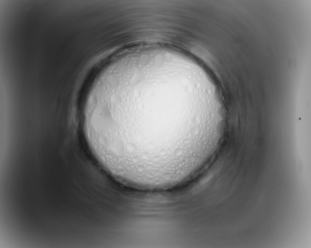 X0000089890979200707192011