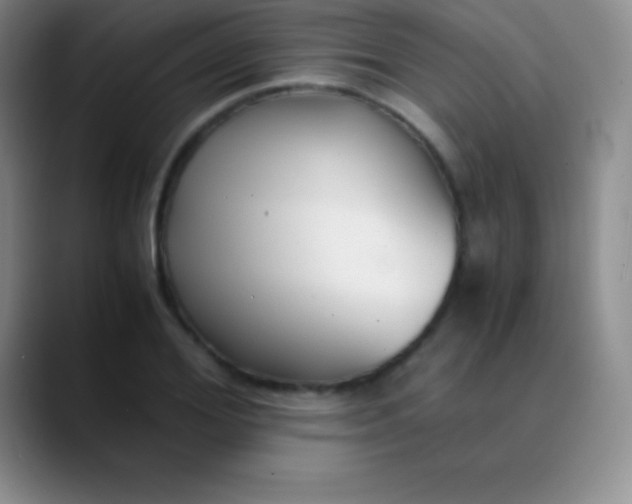 X0000089890980200707192011