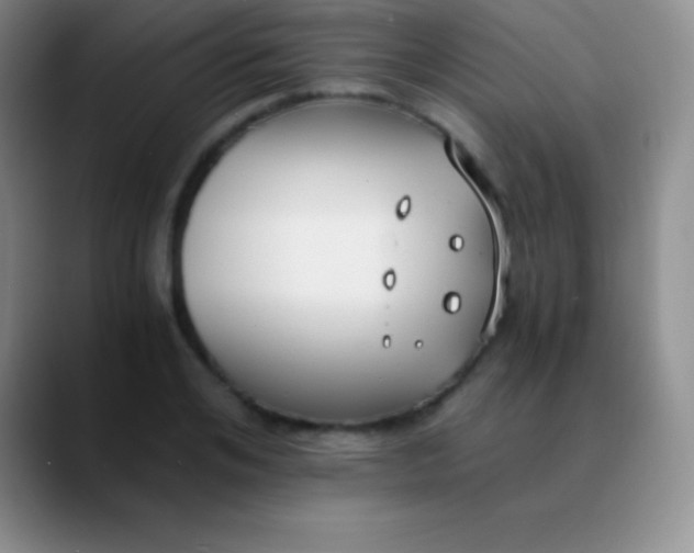 X0000089890984200707192011