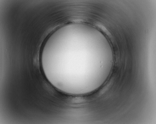 X0000089890986200707192011