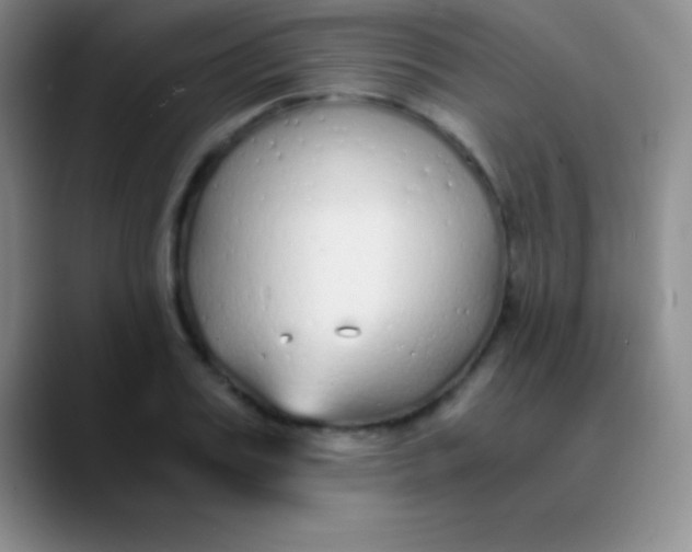 X0000089890987200707192011