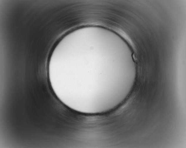 X0000089890988200707192011