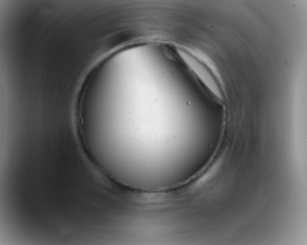 X0000089890989200707192011