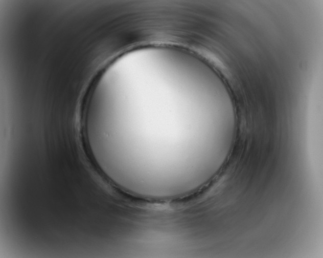 X0000089890990200707192011