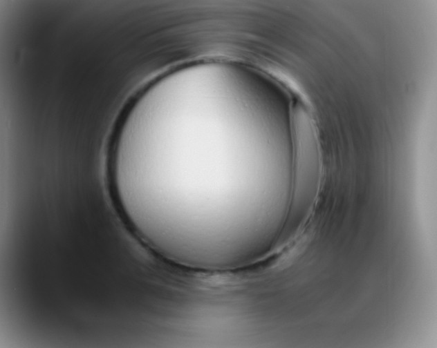 X0000089890991200707192011