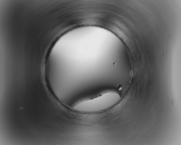 X0000089890992200707192011