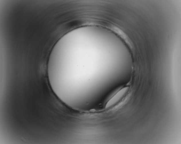 X0000089890993200707192011