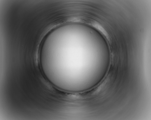 X0000089890994200707192011