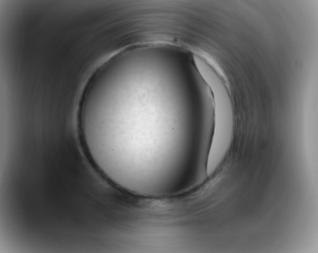 X0000089890995200707192011